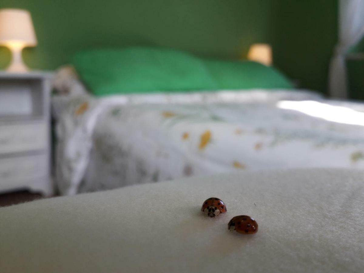 Alle Preci Country House Santa Restituta Zewnętrze zdjęcie
