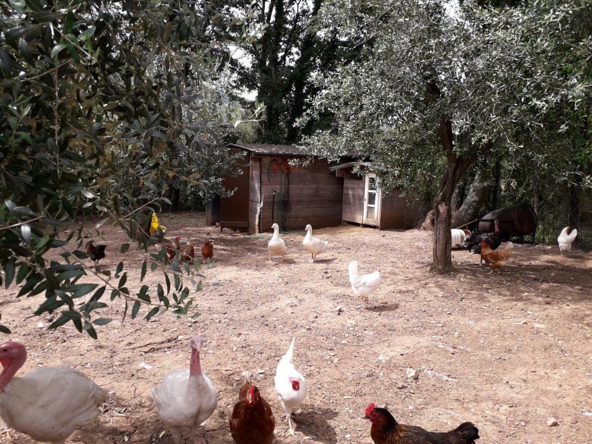 Alle Preci Country House Santa Restituta Zewnętrze zdjęcie